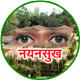 nayanslogo